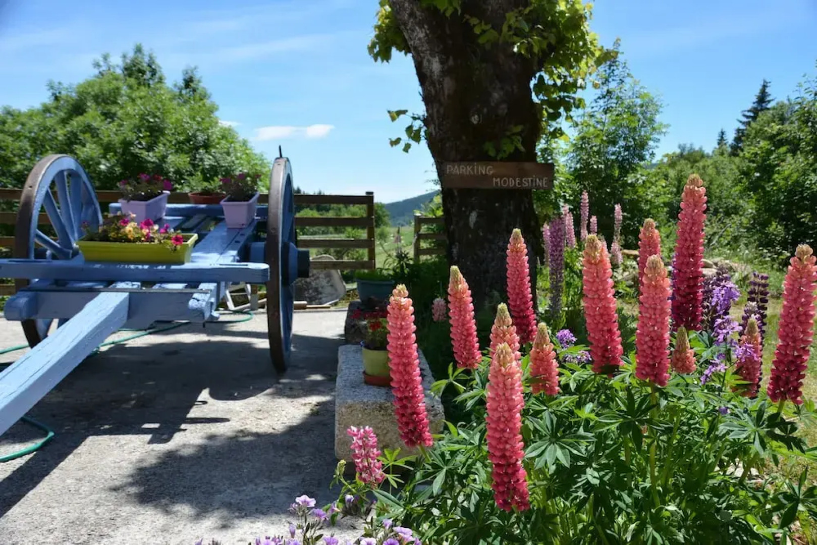 Chambres et Table d'Hôtes Le Relais de Modestine
