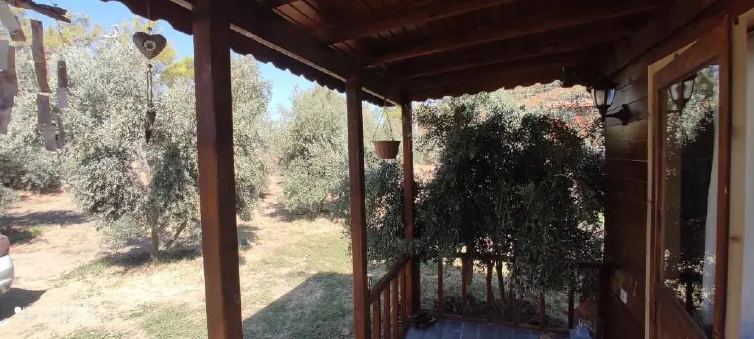 olive garden bungalow