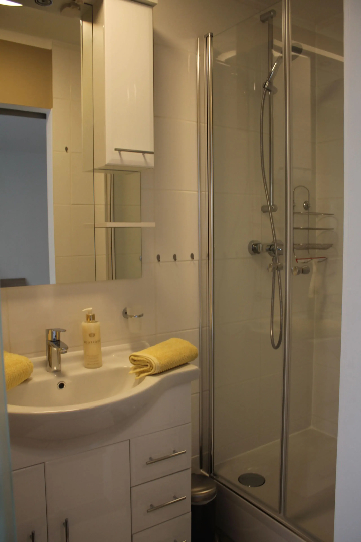 Appartement- Steinkirchner