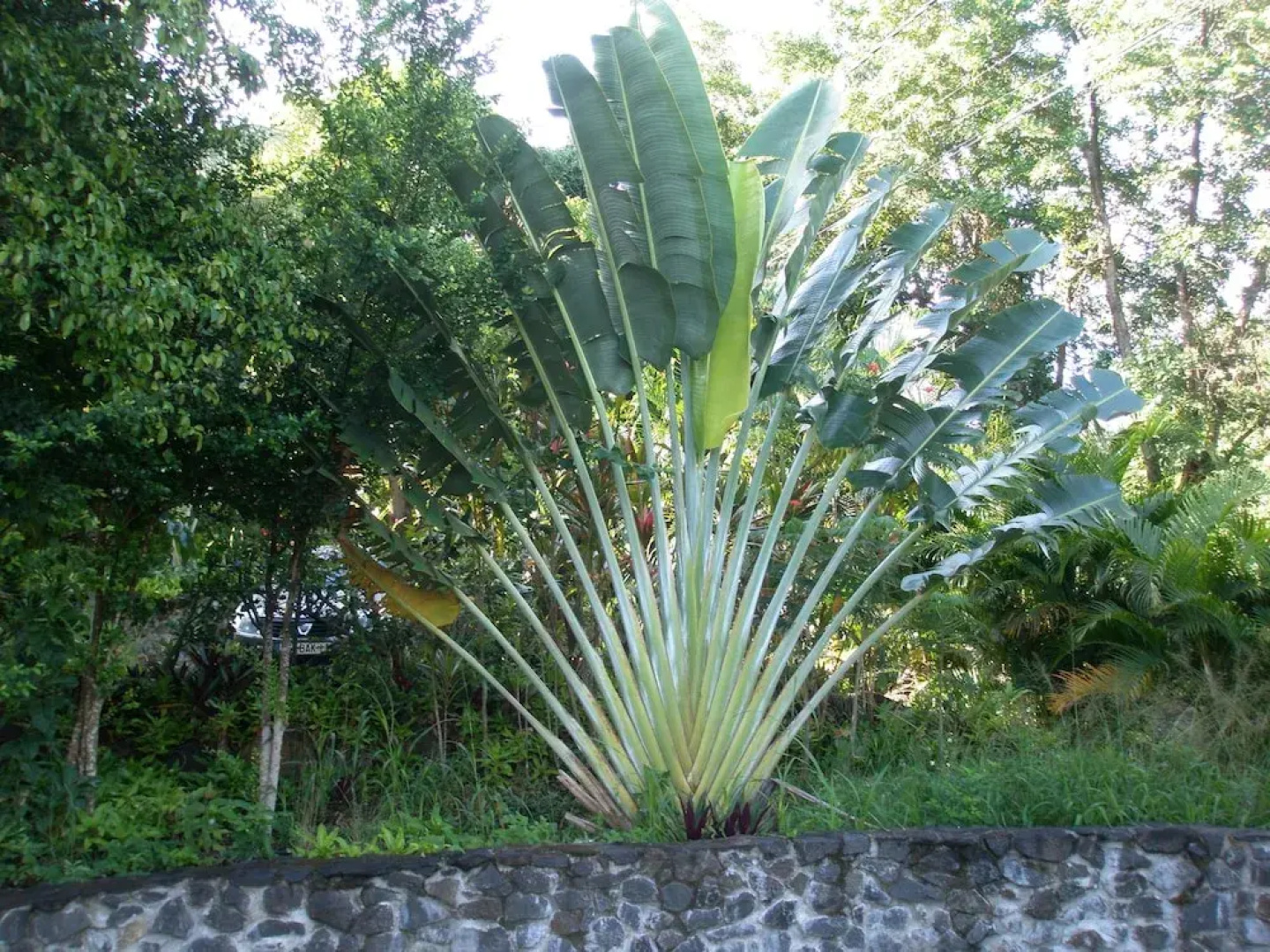 Oasis de Grande Anse