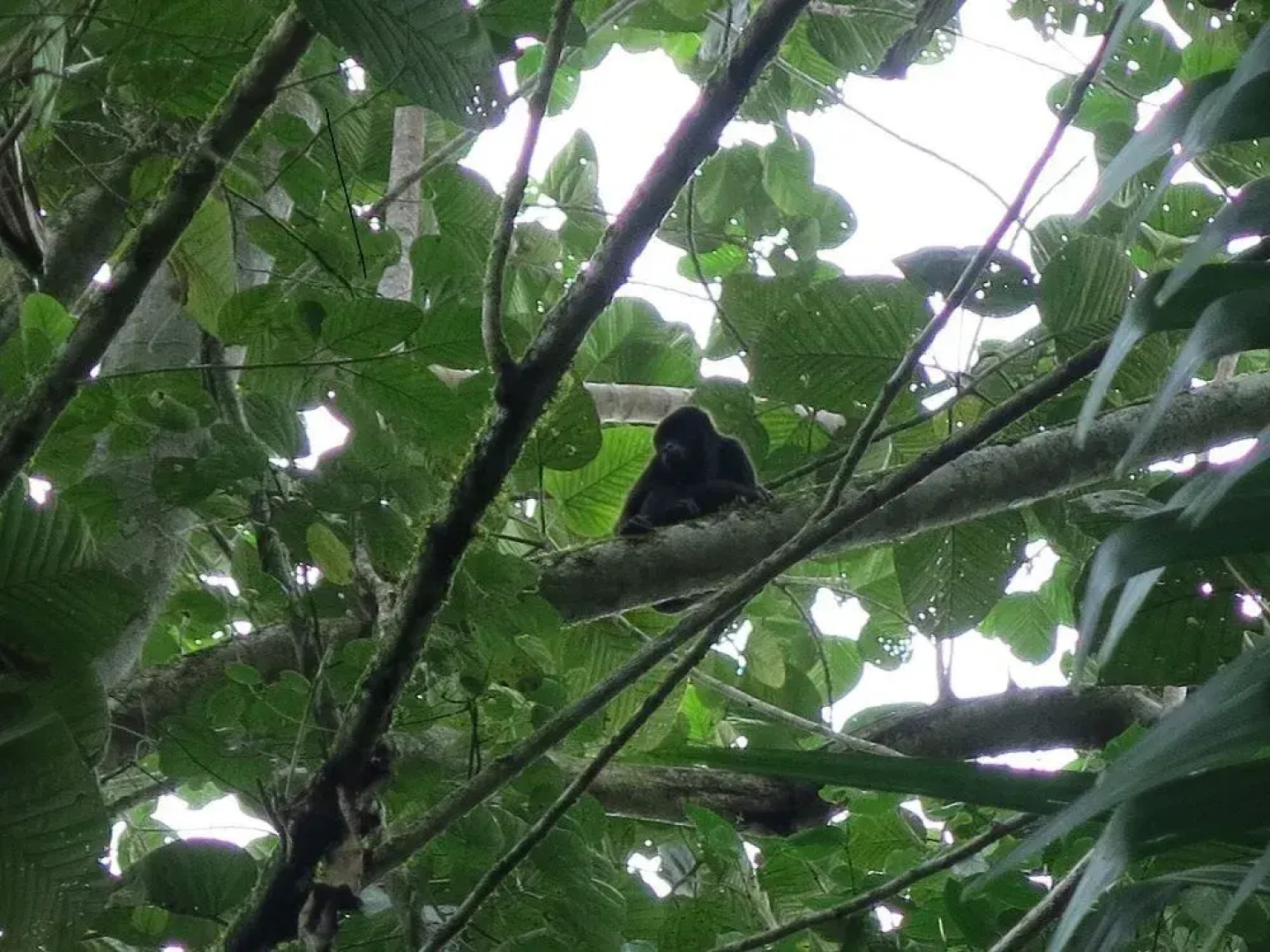 Samai Ocean Lodge - Spa