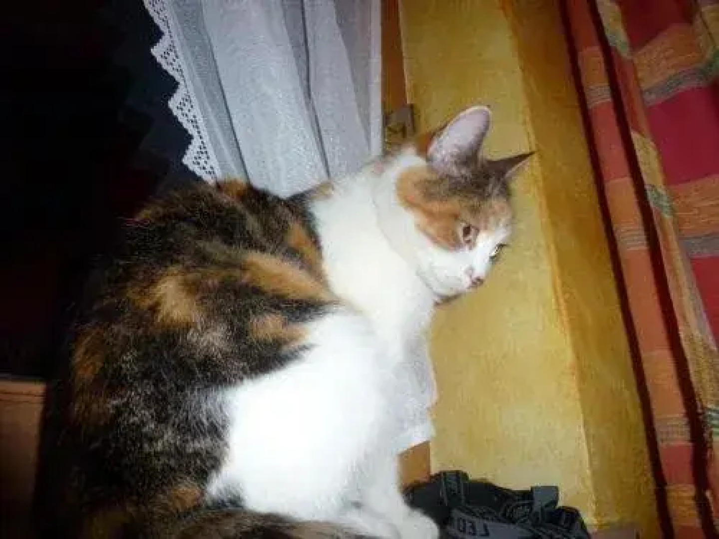 Bauernhof Steinlehen