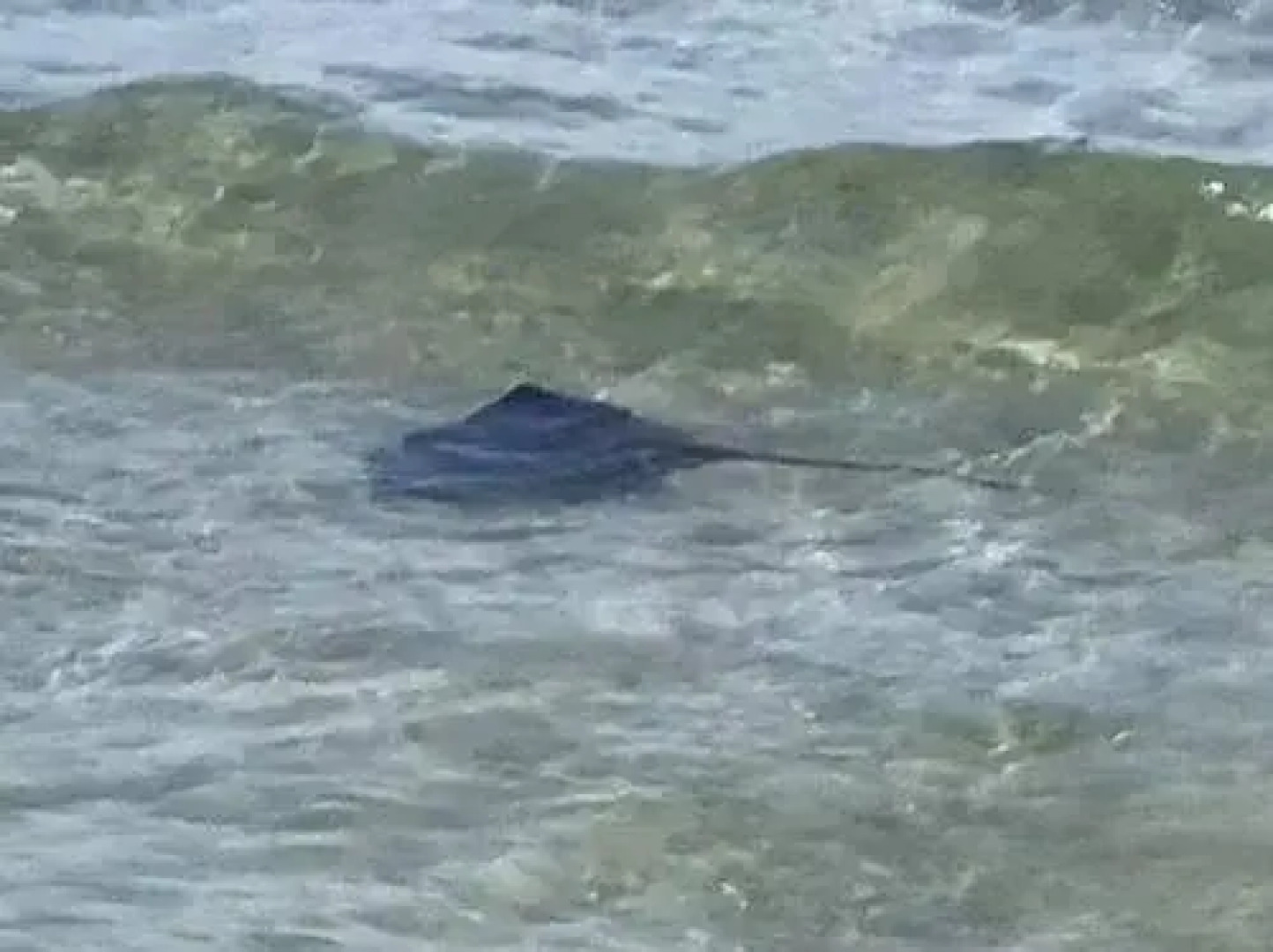 Hotel Meuble Corallo