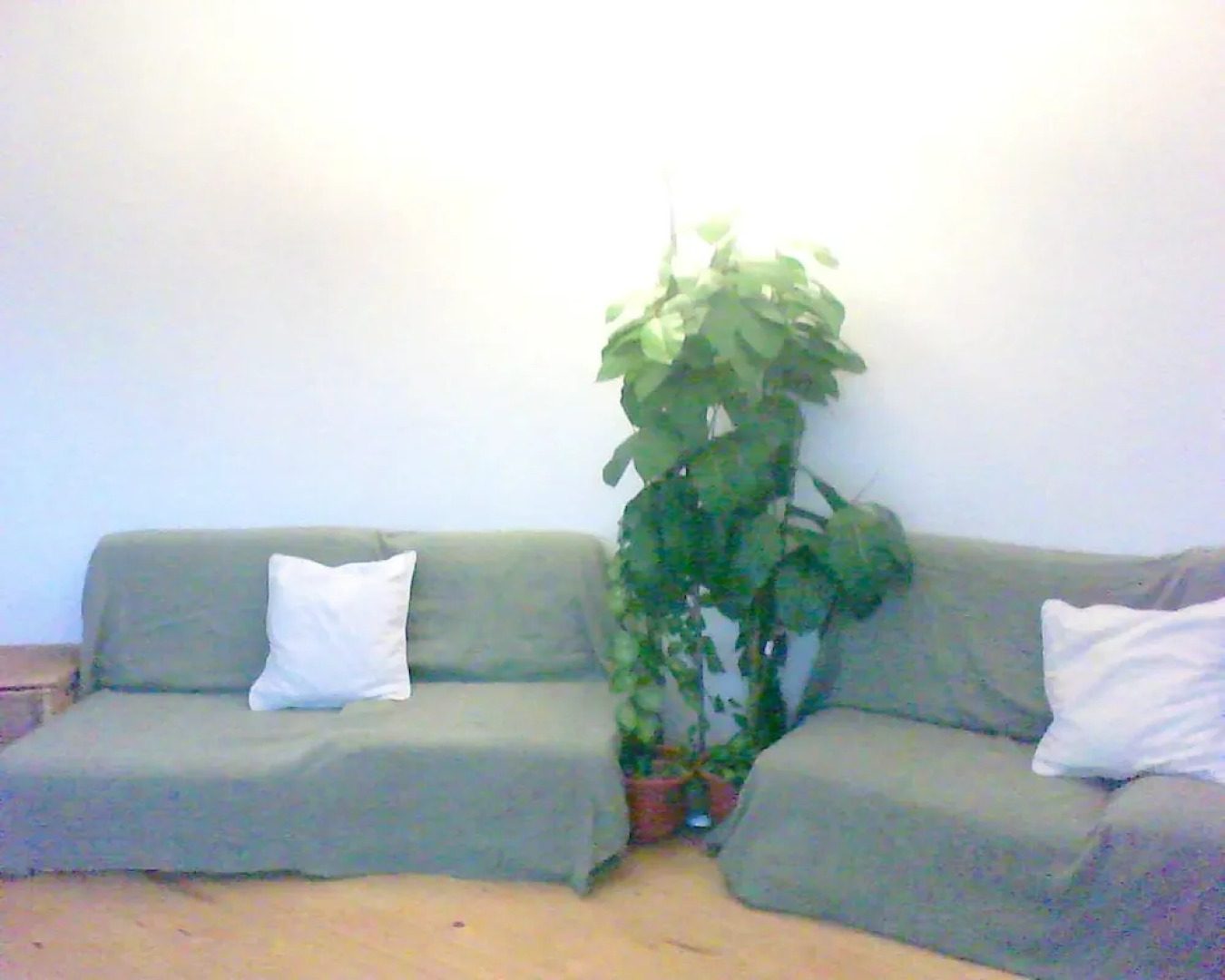 Apartment With one Bedroom in El Port de la Selva, With Wonderful sea