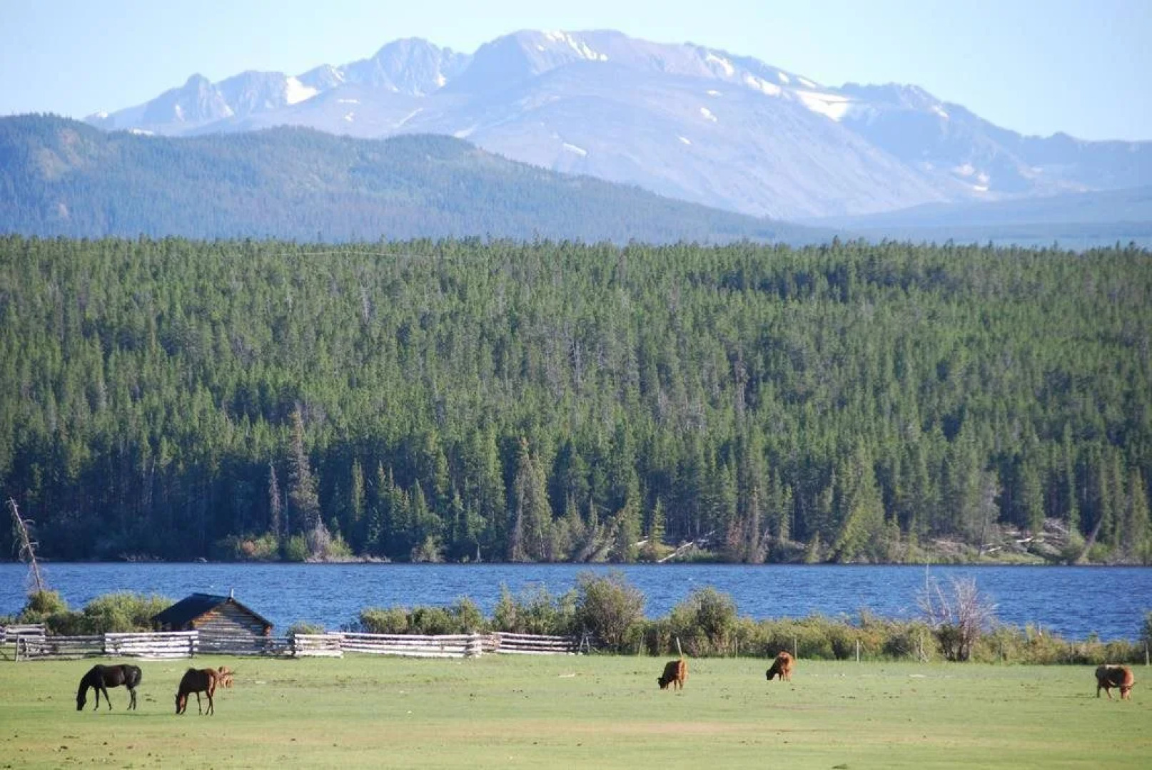 Terra Nostra Guest Ranch