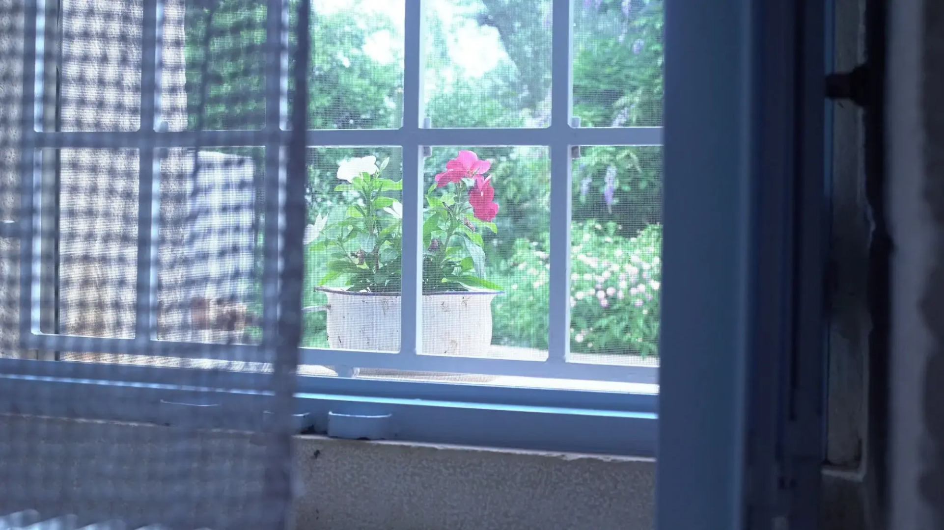 Trullo Santangelo - Agriturismo