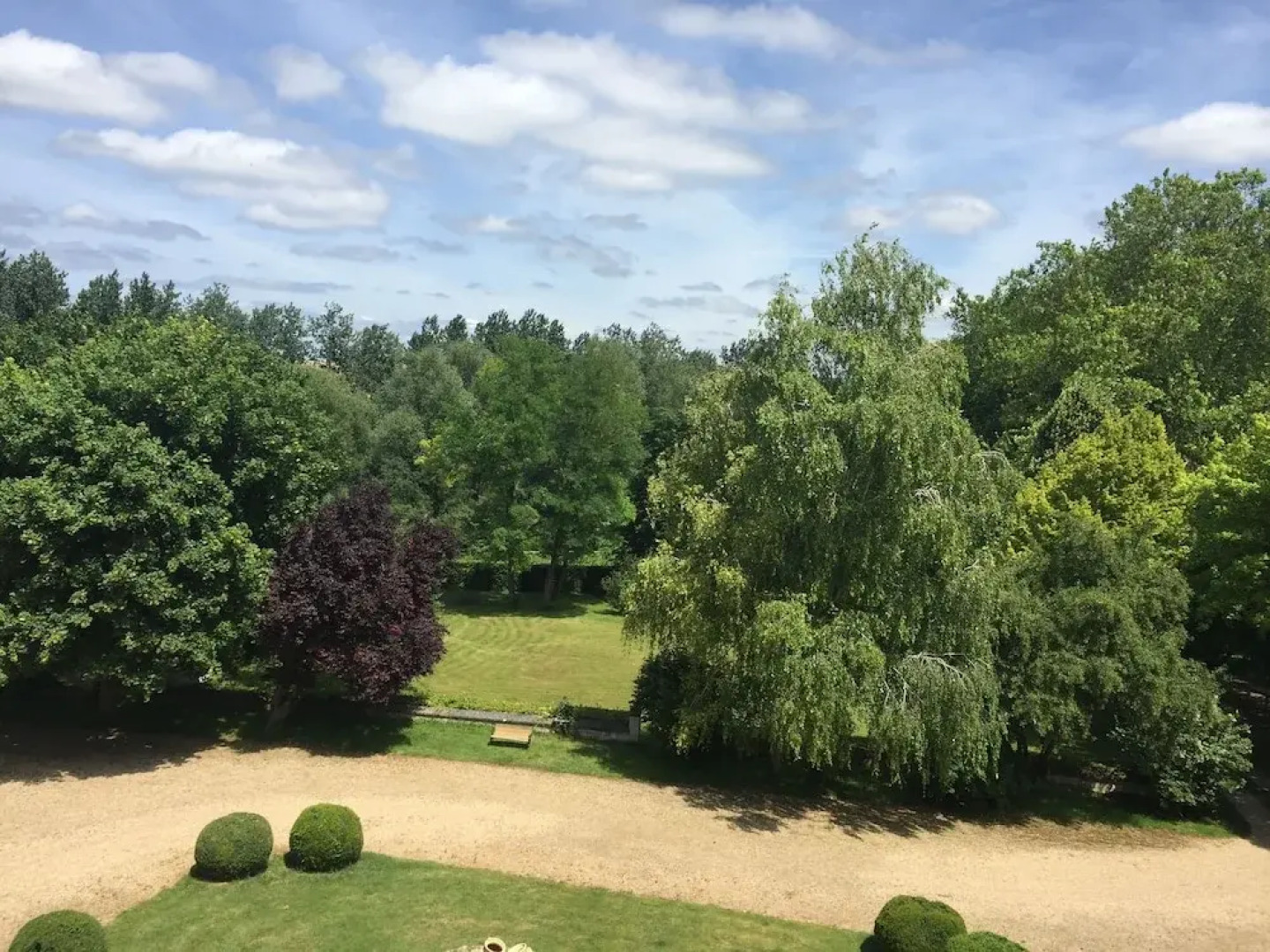 Au Prince Grenouille