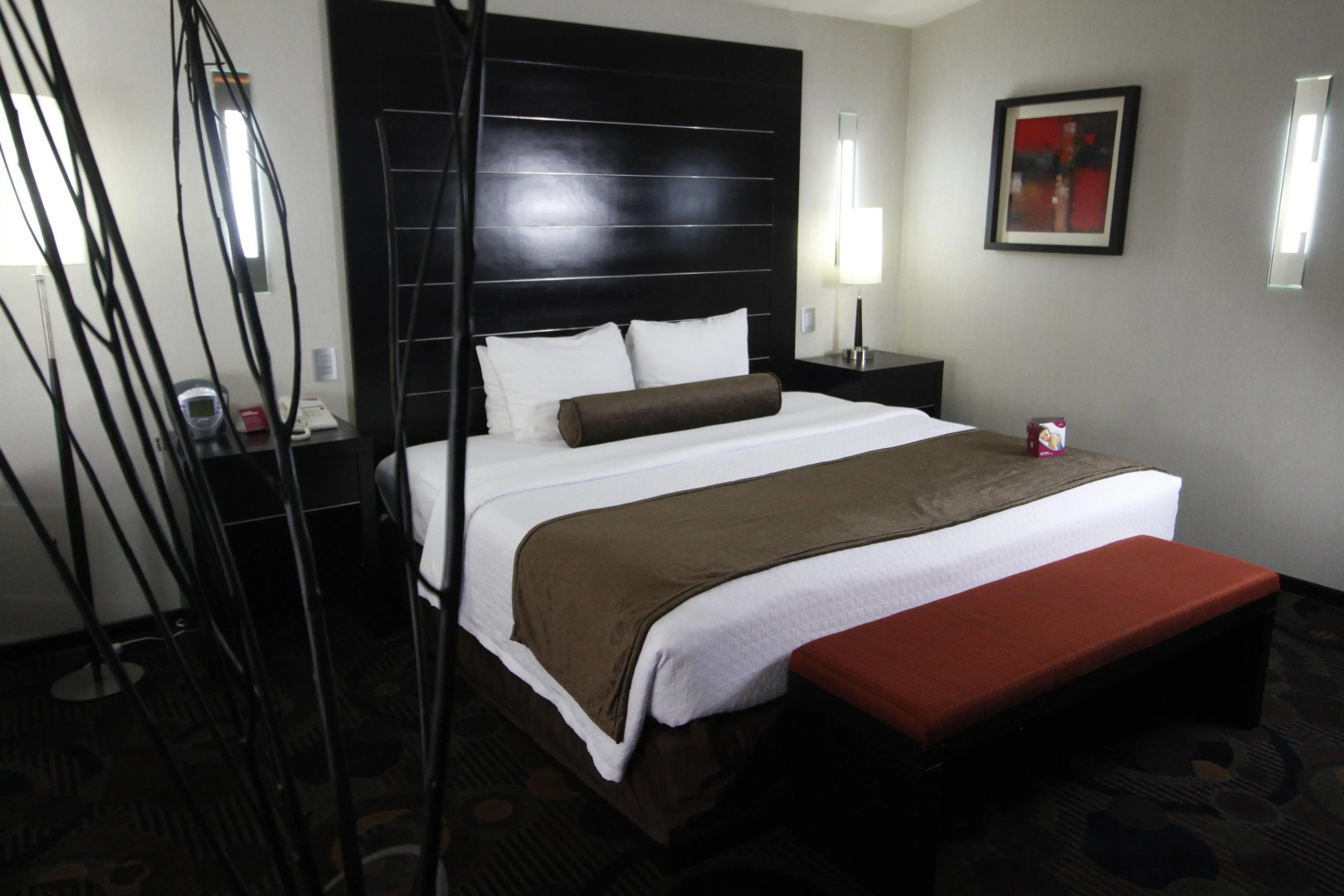 Crowne Plaza Toluca Lancaster by IHG