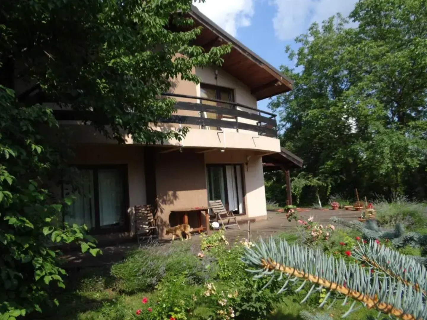 Pensiunea Bamboo - Villa