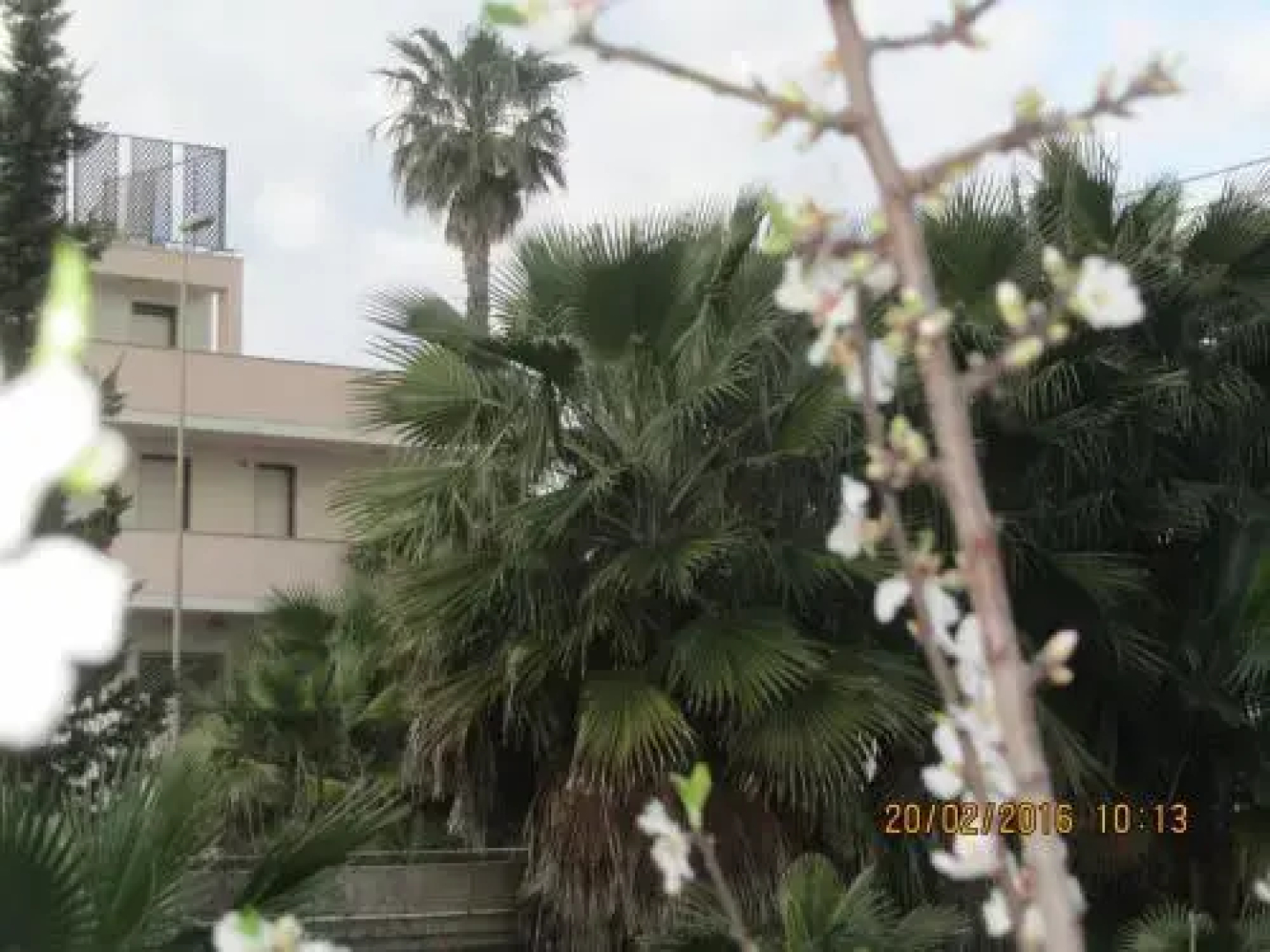 Villa La Magnolia