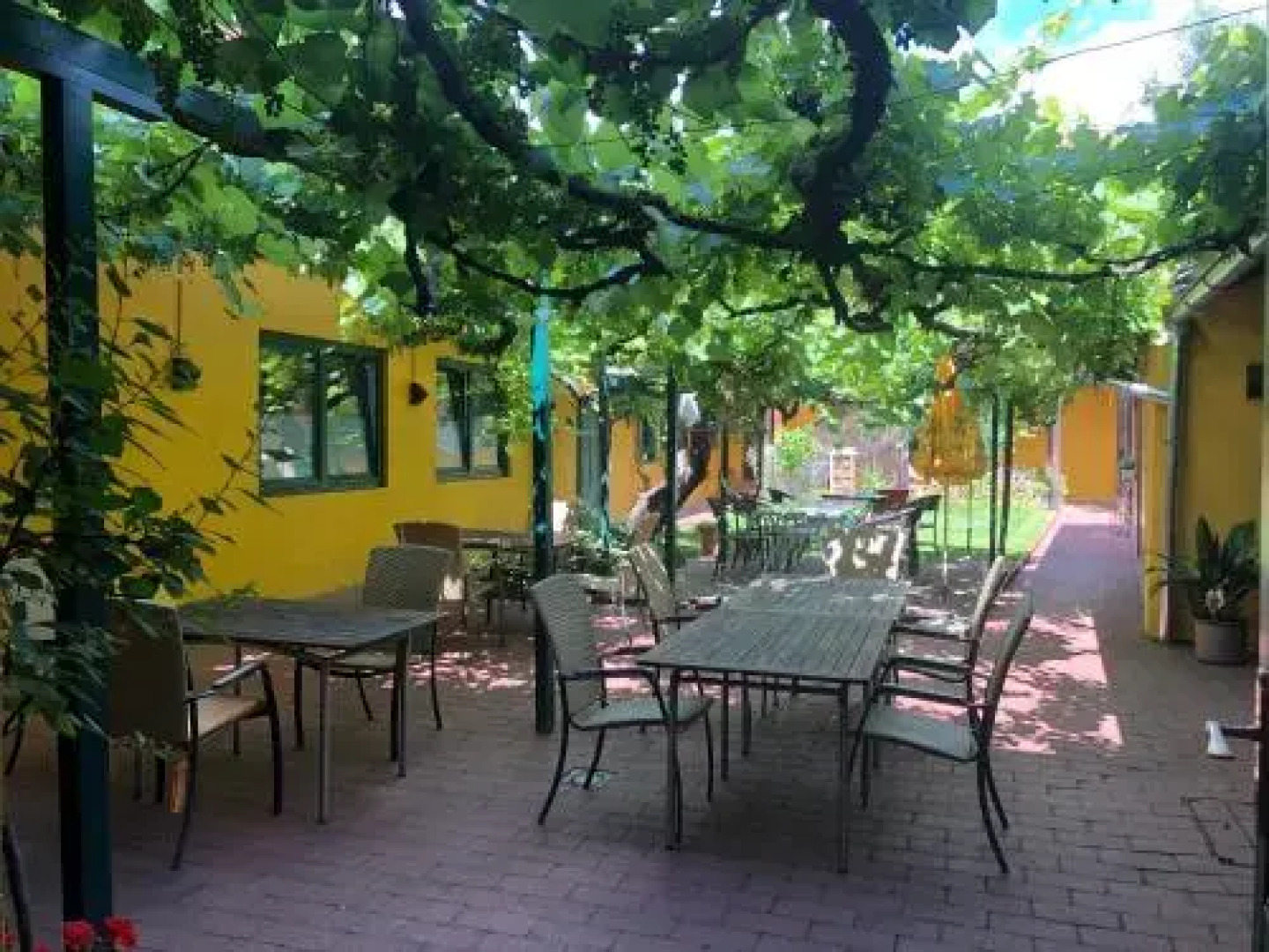 Landgasthof Zum Alten Weinstock