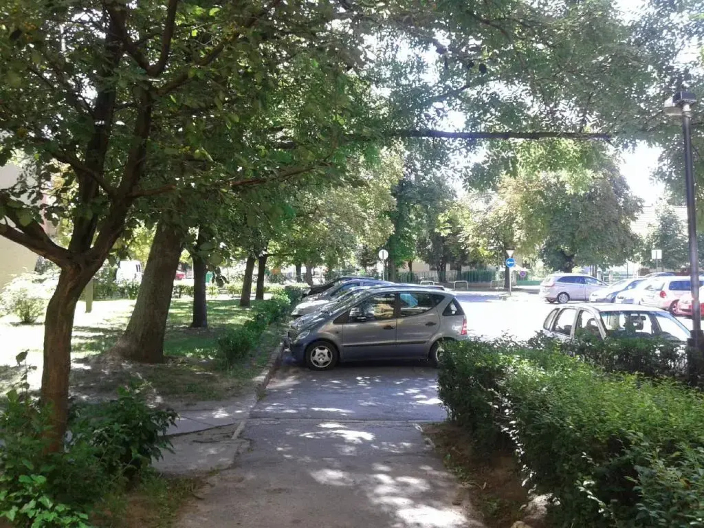 Veronica Fejer Apartment