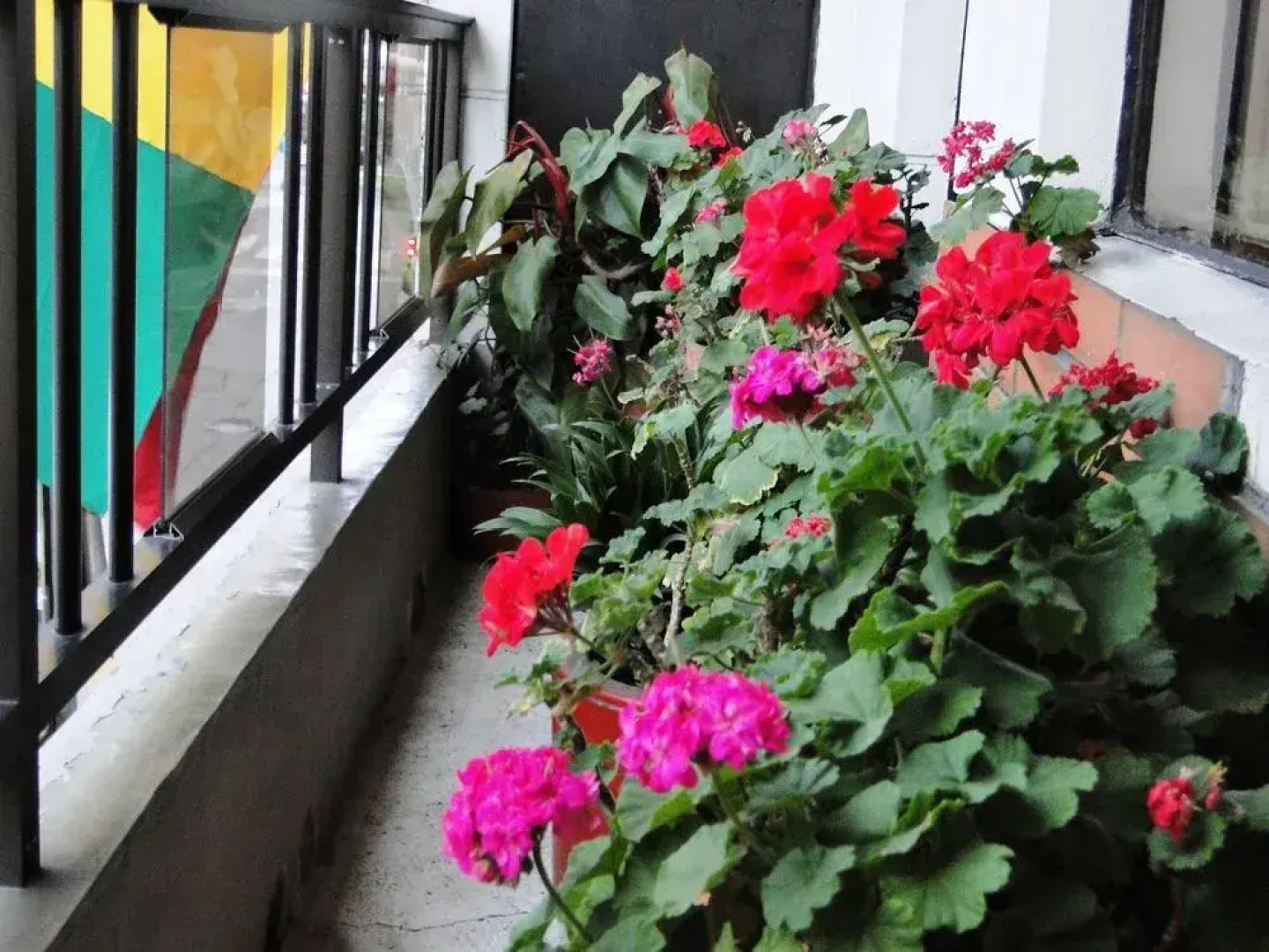 Hotel El Eden Manizales