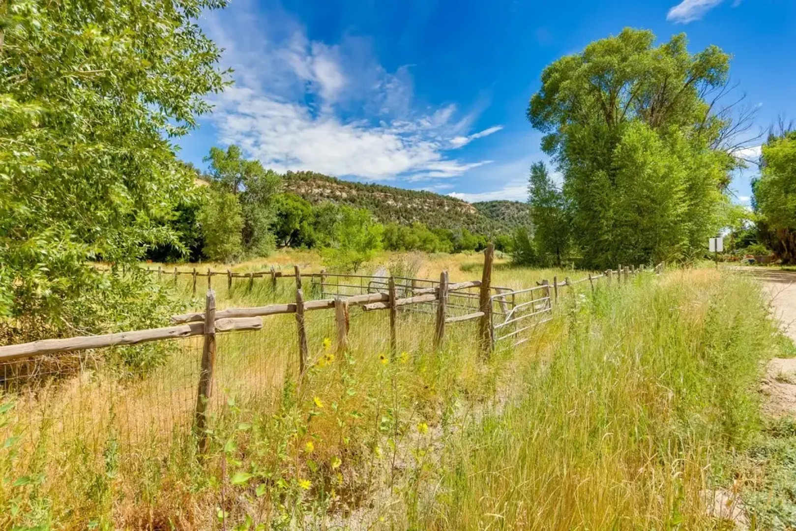 Dolores Townhome w/ Mountain Views: Near River!