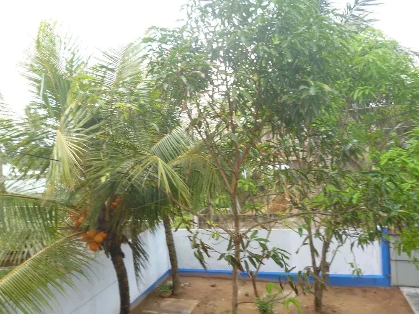 SeaView Paradise Inn
