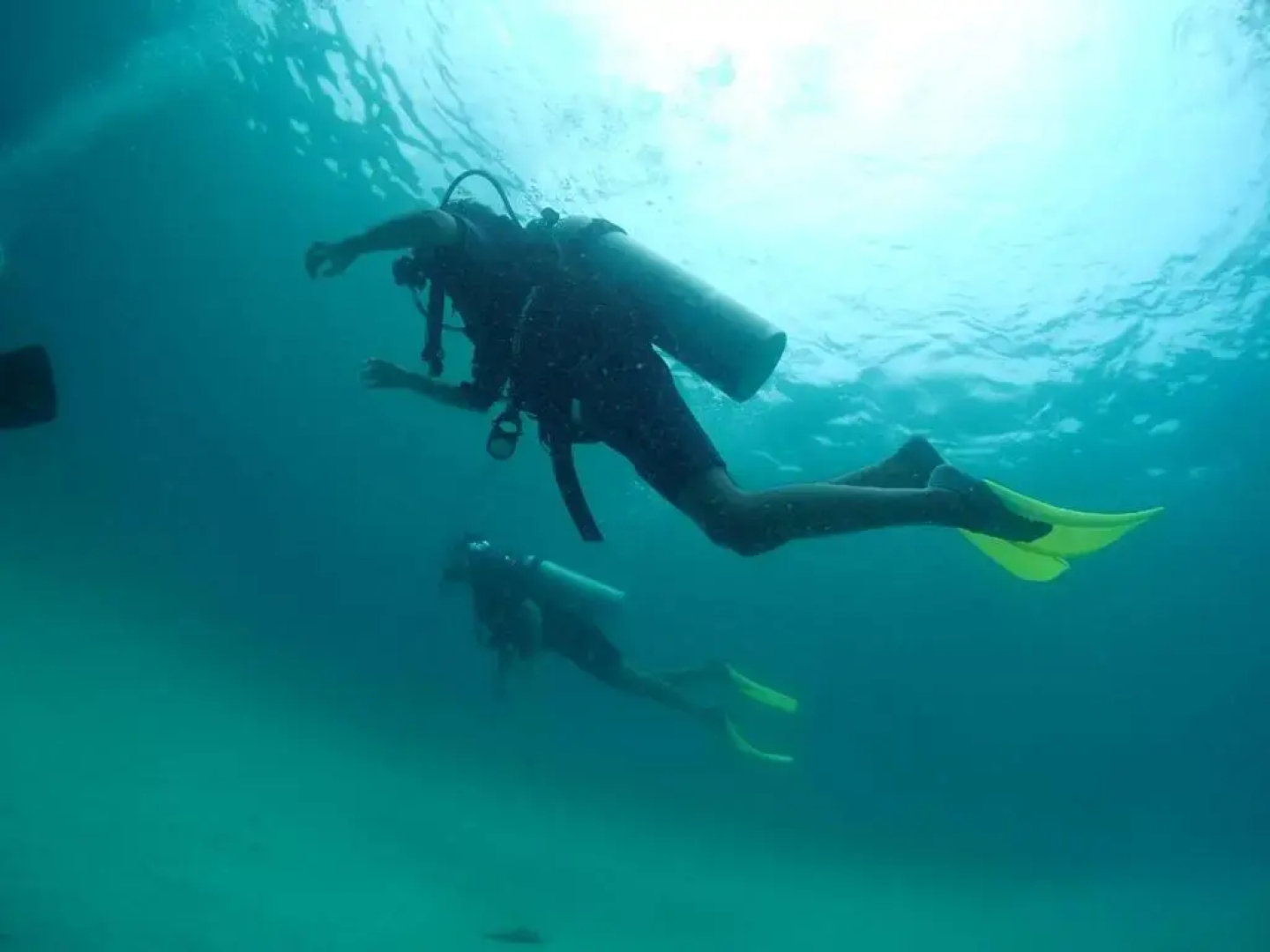 Seahorse Diver Guesthouse