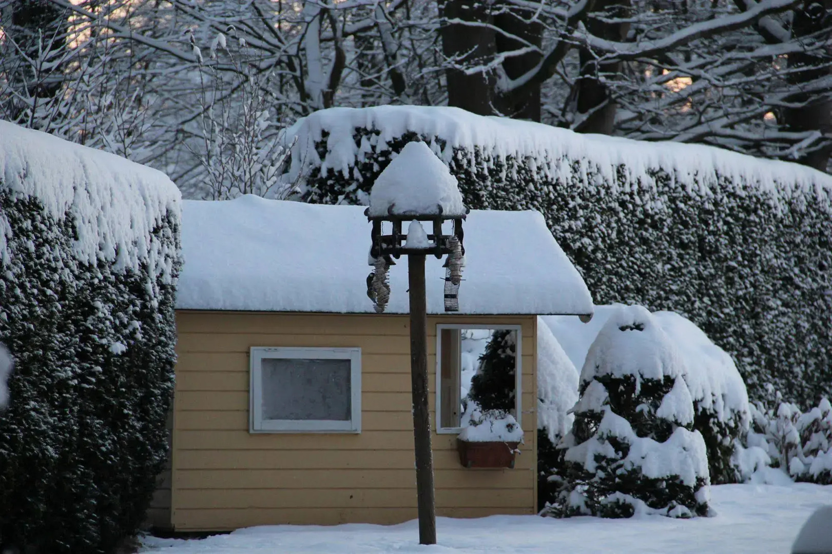 Munkebjerg Bed & Breakfast