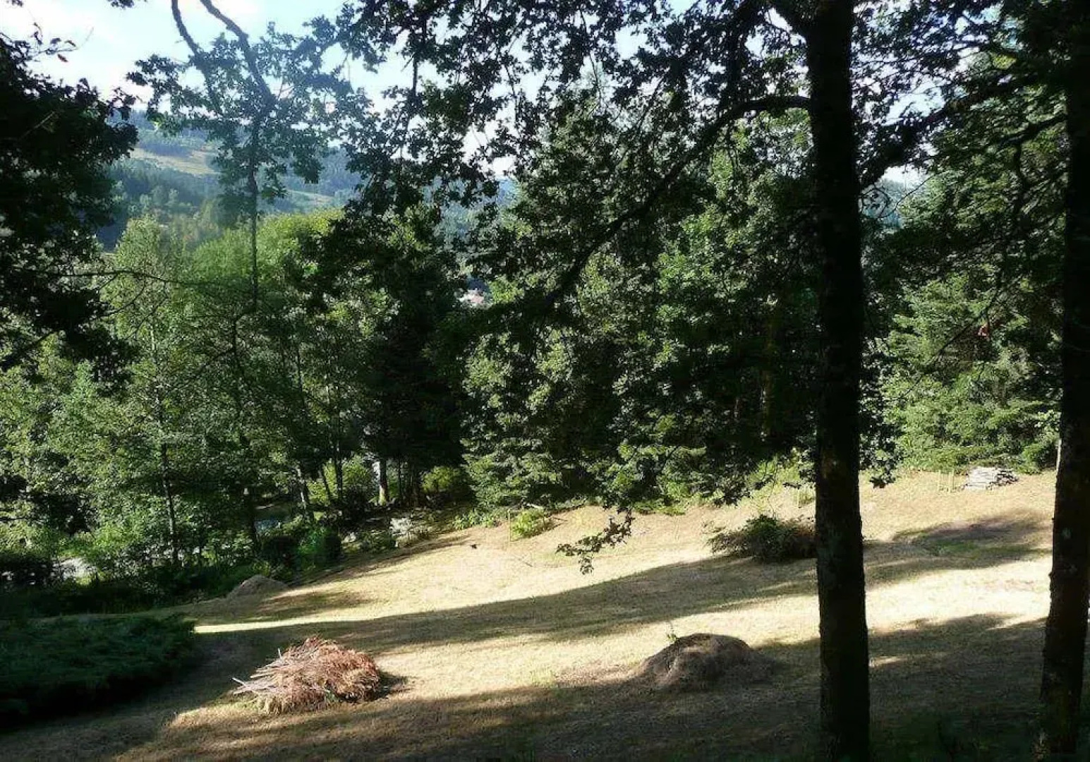 Paradis - Sud Vosges : chalet de vacances - Région Gérardmer Apartment