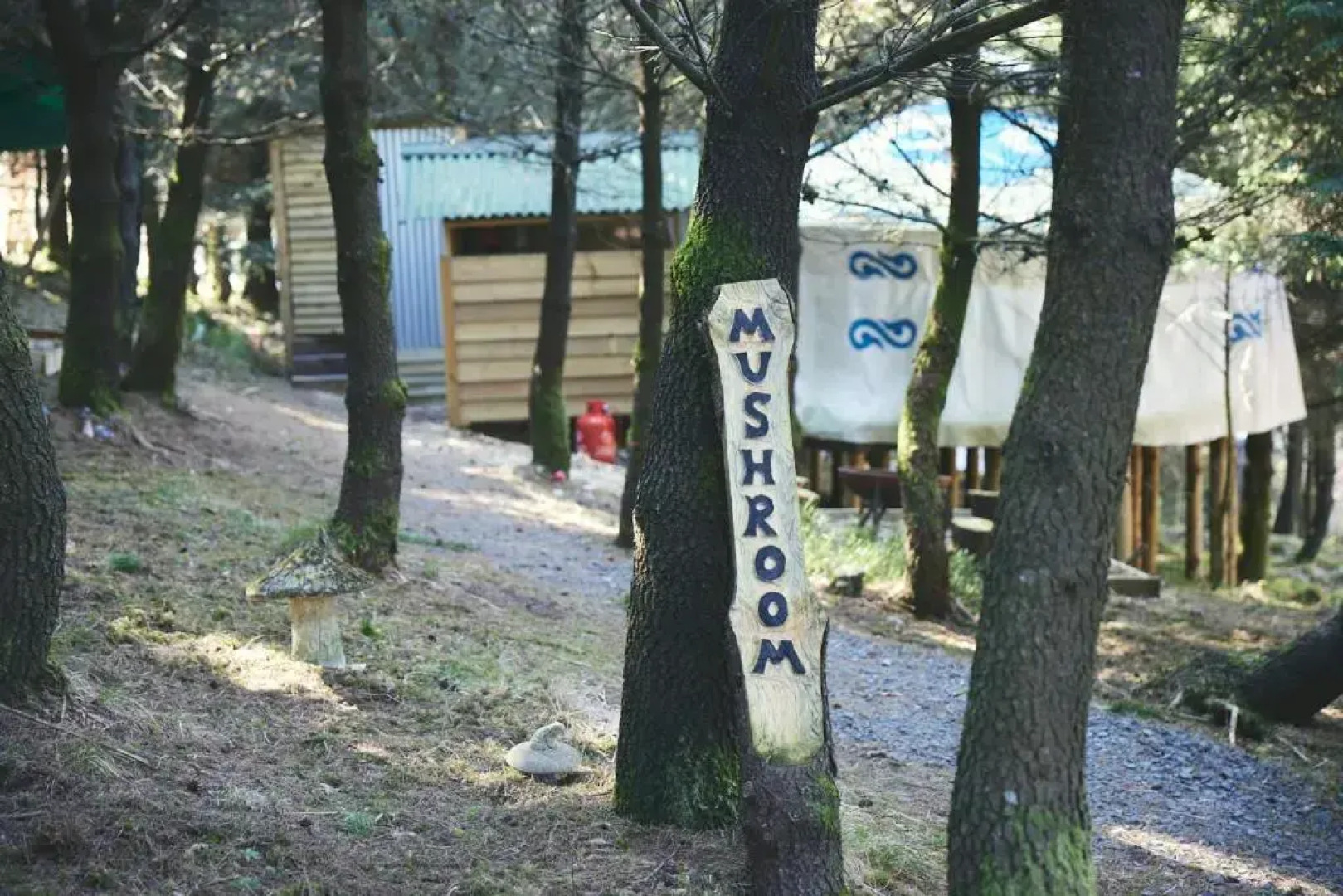 Mushroom Yurt set in 4 Acres of Woodland and Lakes