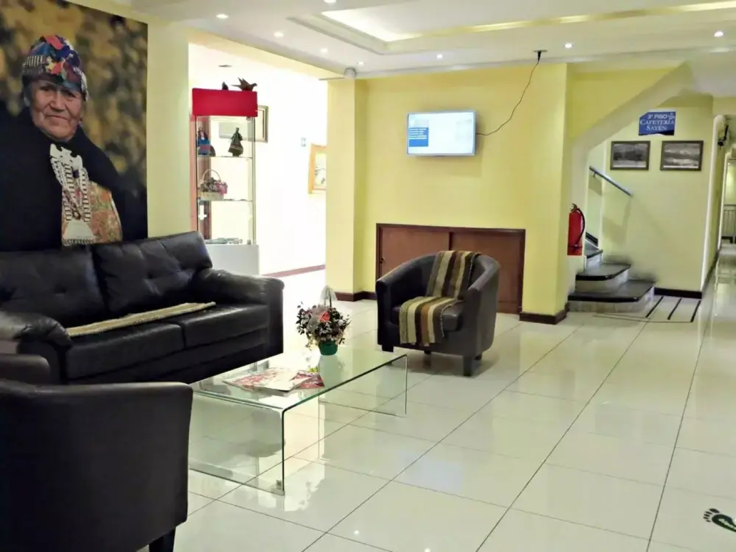 Hotel Newen