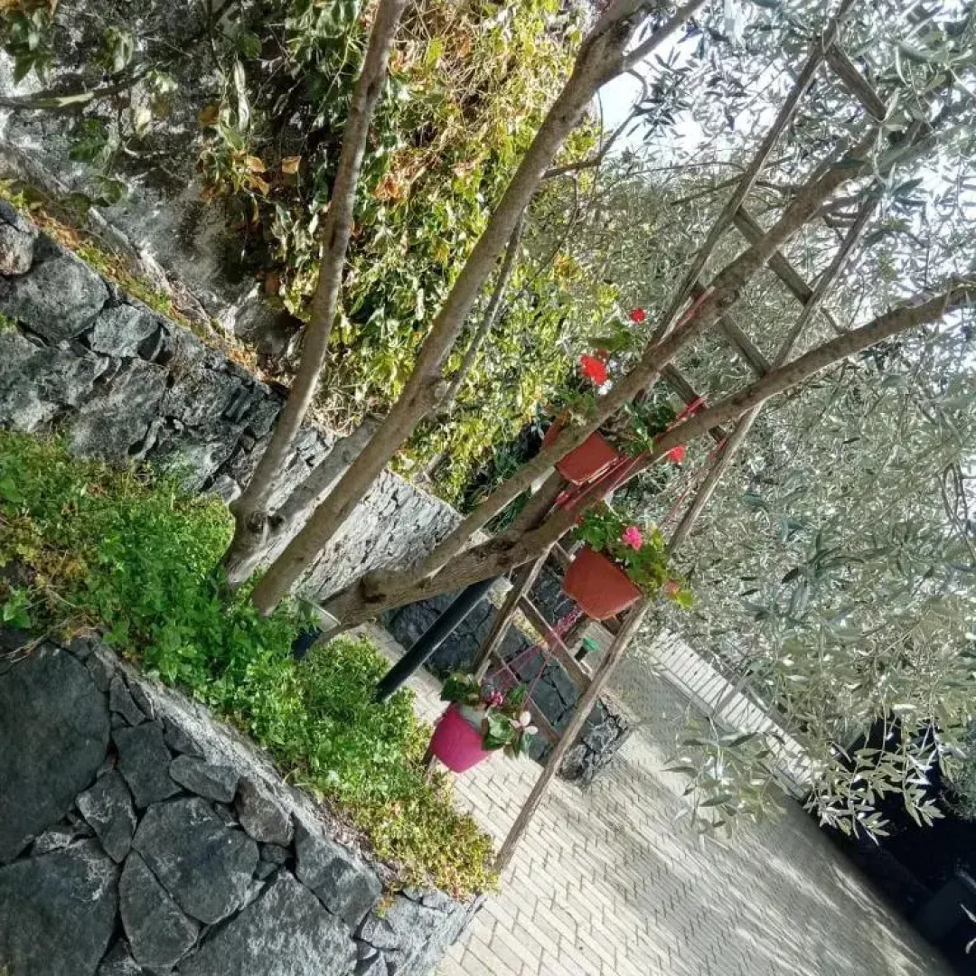 Azienda Agricola Cuntarati