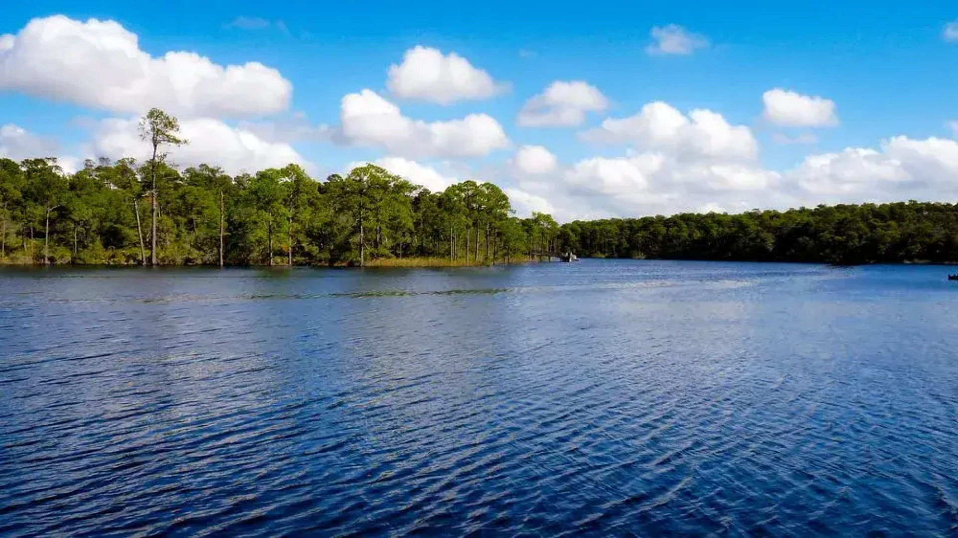 Southern Charm by RedAwning