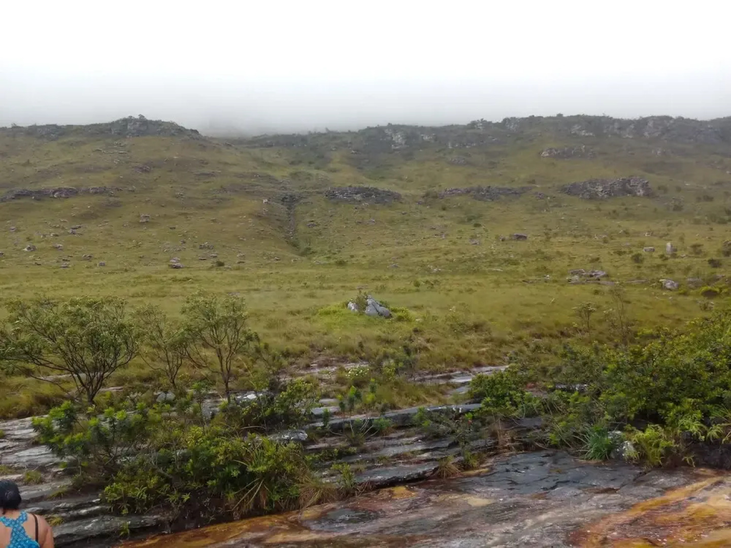 Hospedagem João de Barro