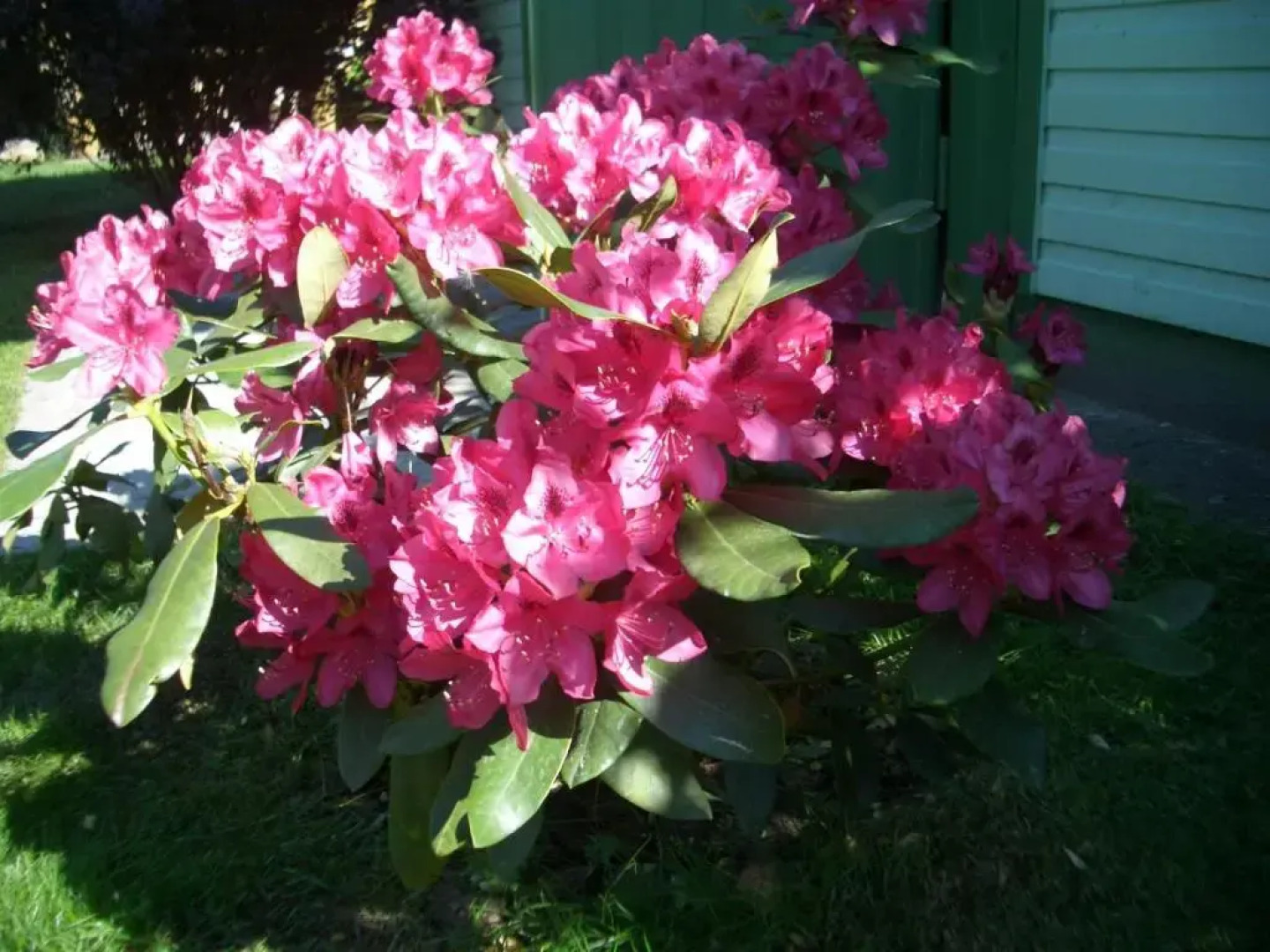 Country house Ziogeliai