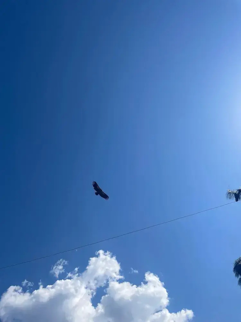 The VOID - Tirthan Valley