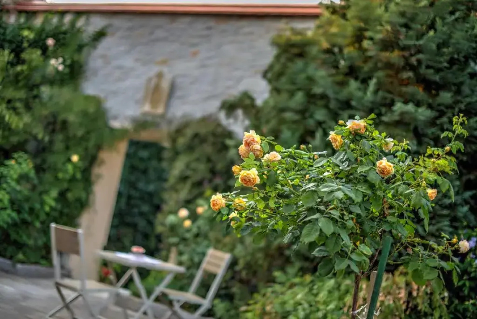 Ringhotel Landhotel Schwarzer Adler