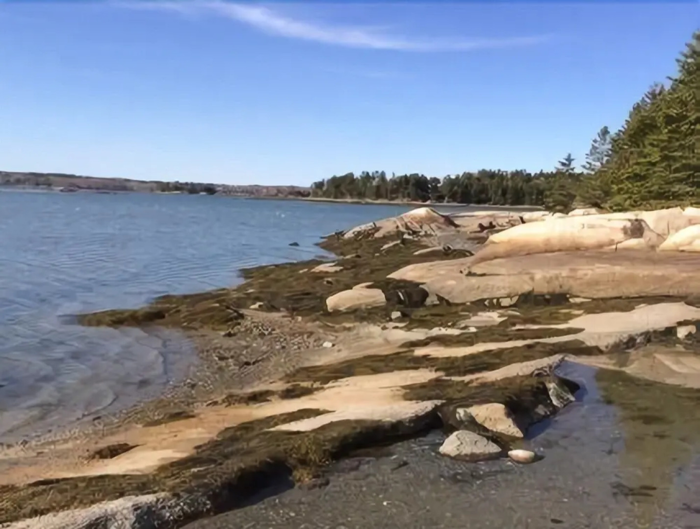 Inner Harbor Retreat - Four Bedroom Home