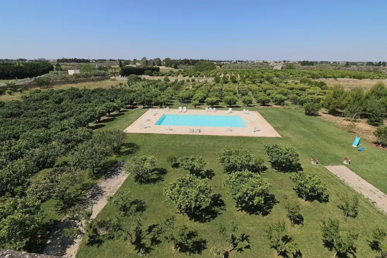 Triple Comfort Pink Grapefruit