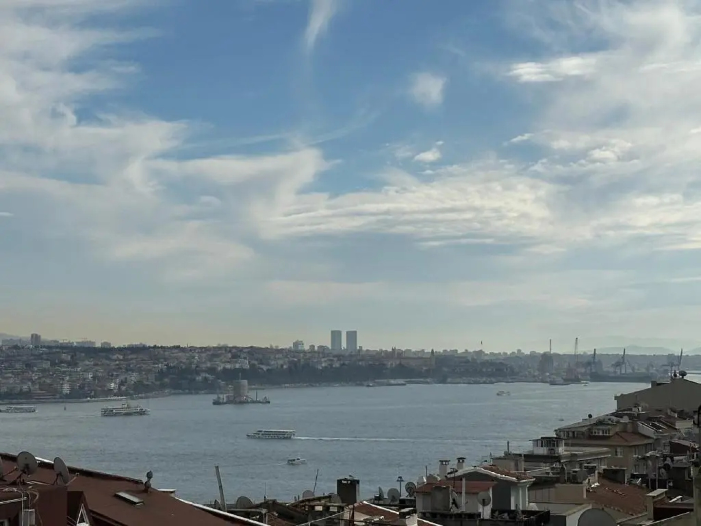 Roj Suite