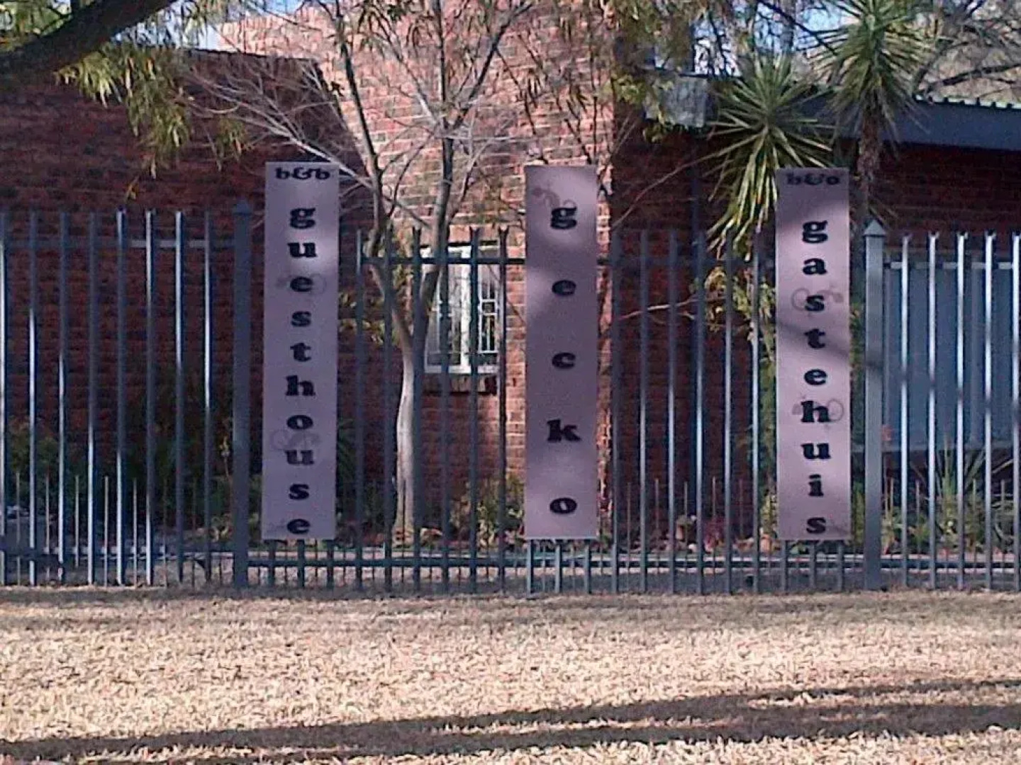 Gorgeous Gecko Guesthouse