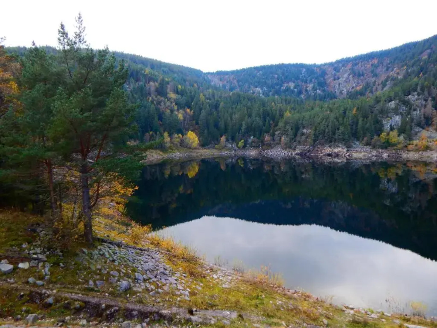 Mobil Home 6 Personnes Alsace