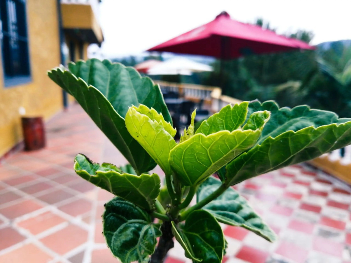 Vista Hermosa Centro Recreativo - Hostel