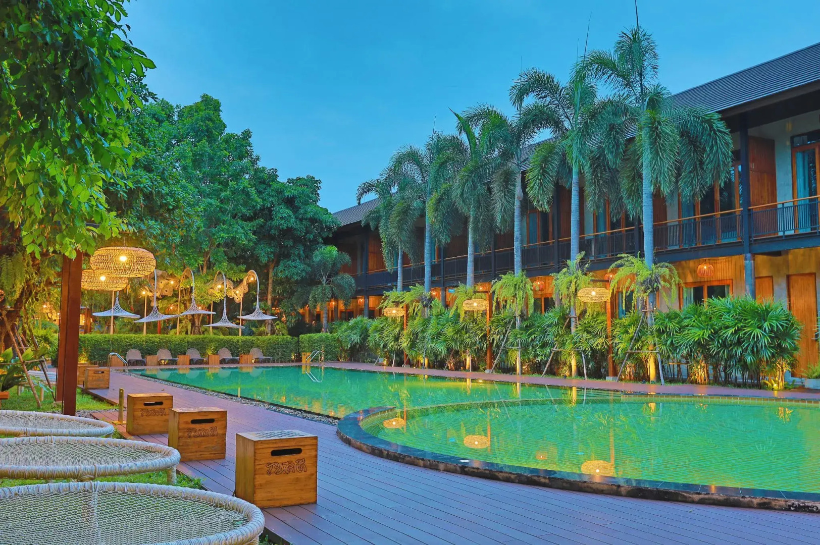 The Buffalo Amphawa (SHA Plus)