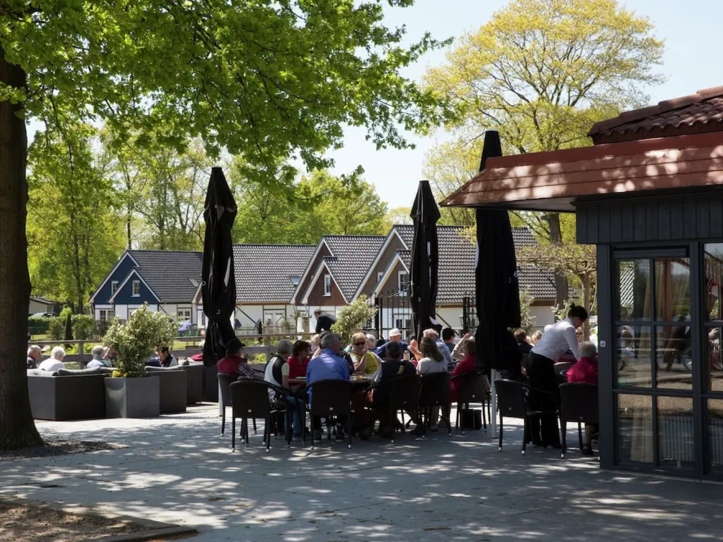 Light Bungalow With Dishwasher, Near Maastricht