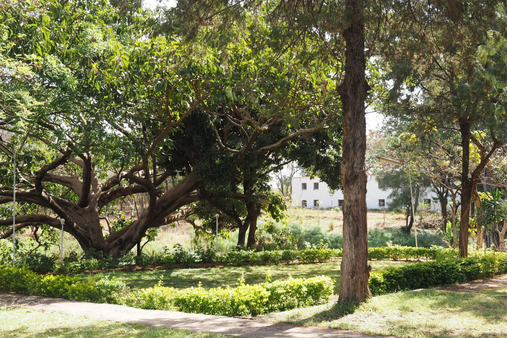 Tana Hotel