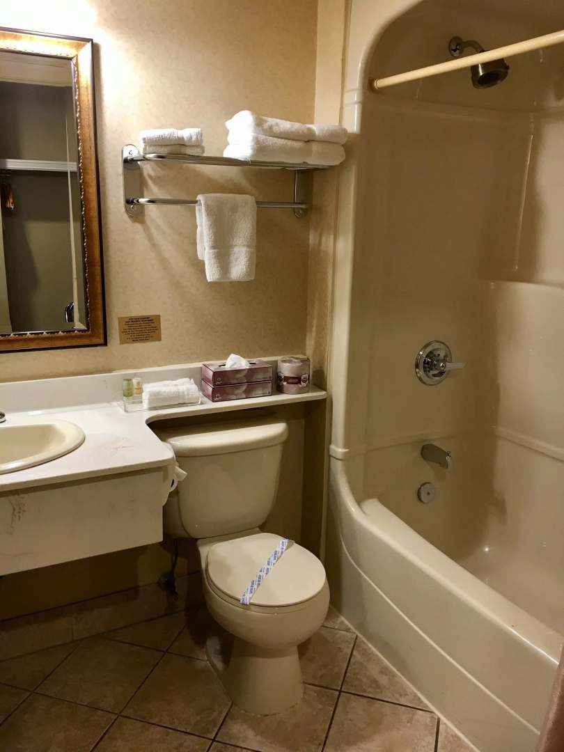 Monte Carlo Inn - Brampton Suites