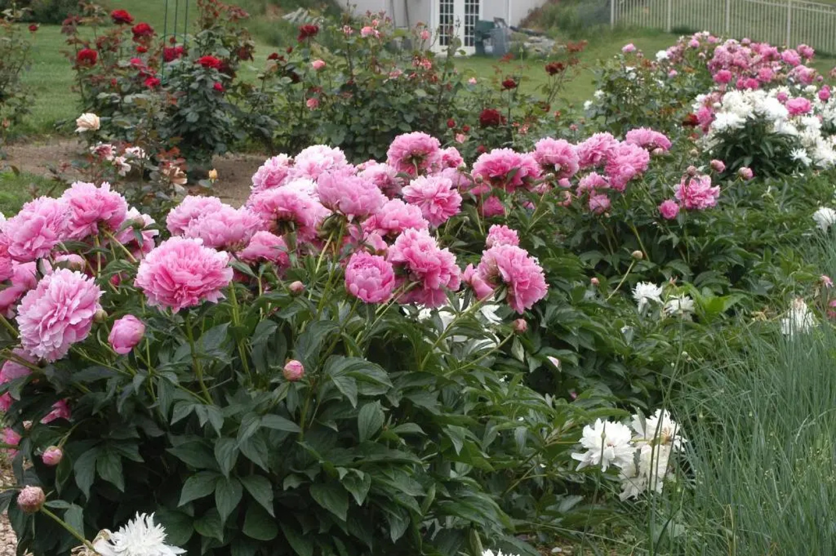 Annville Inn Bed and Breakfast