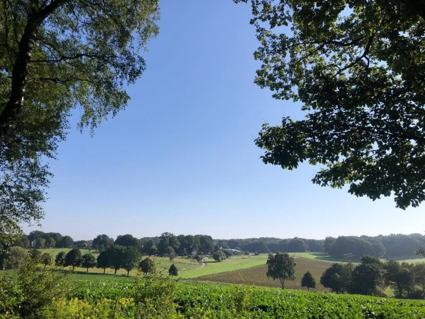 Top Appartement 1 in Rosengarten/Hamburg