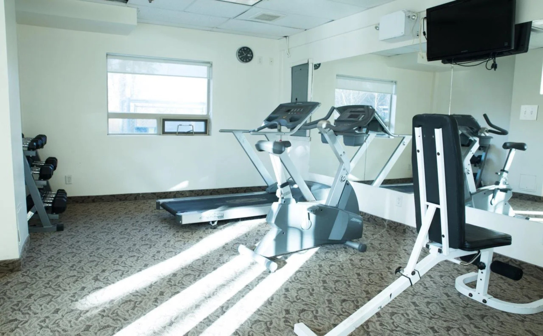 Comfort Inn & Suites