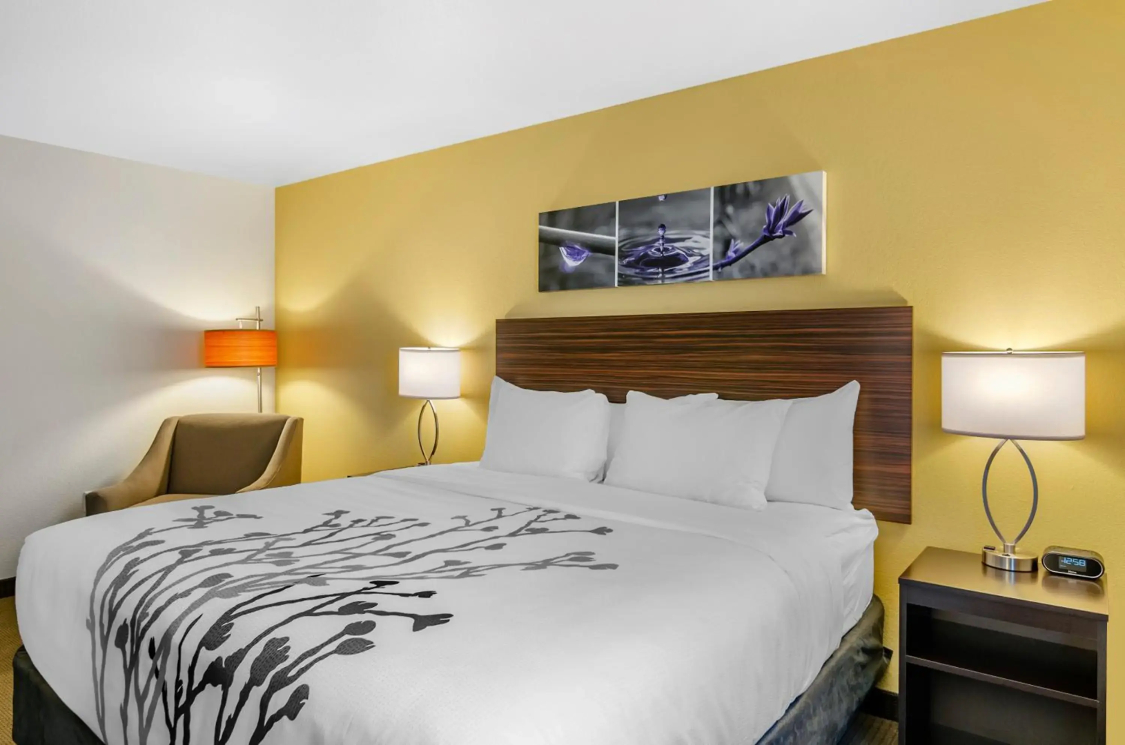 Sleep Inn Great Falls Airport