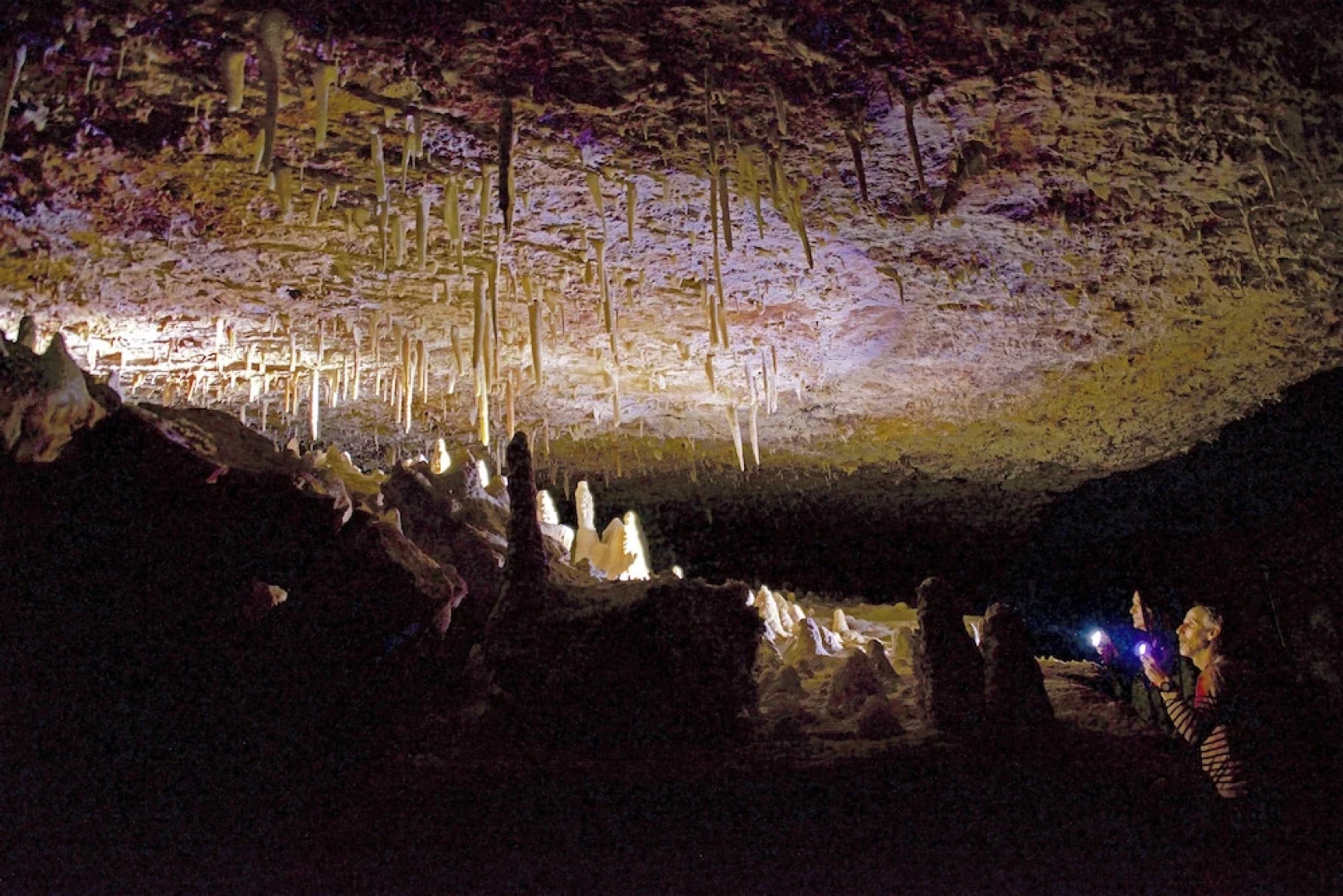 Aven Grotte Forestière