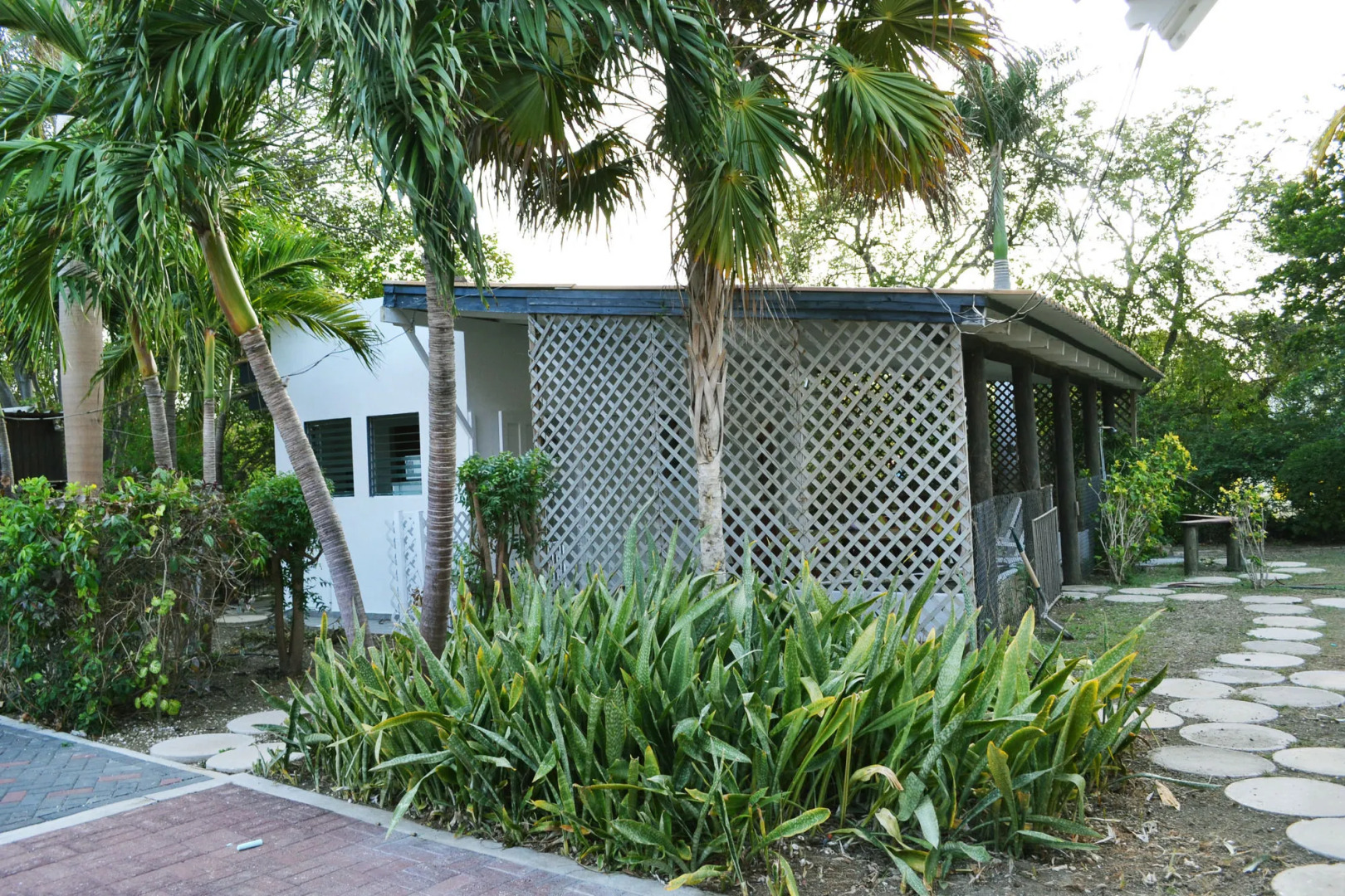 Palm Trees Apartments