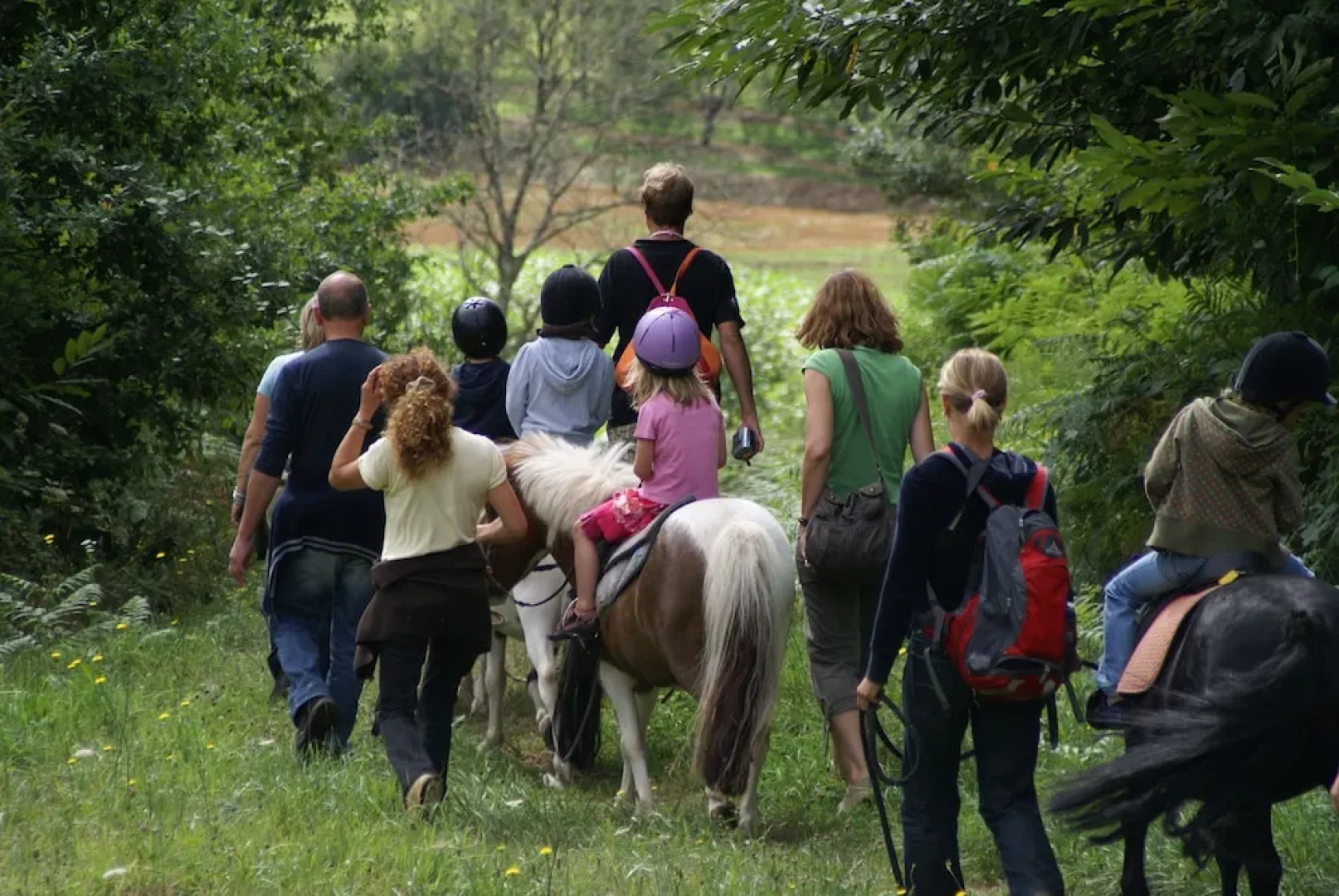 Camping Domaine Des MATHEVIES