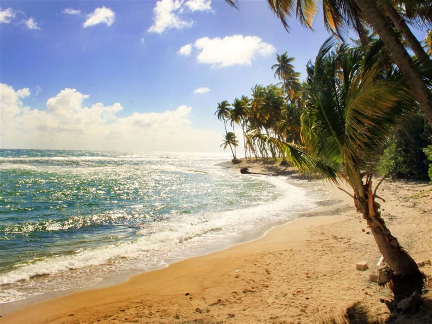 Caribe Playa Beach Resort