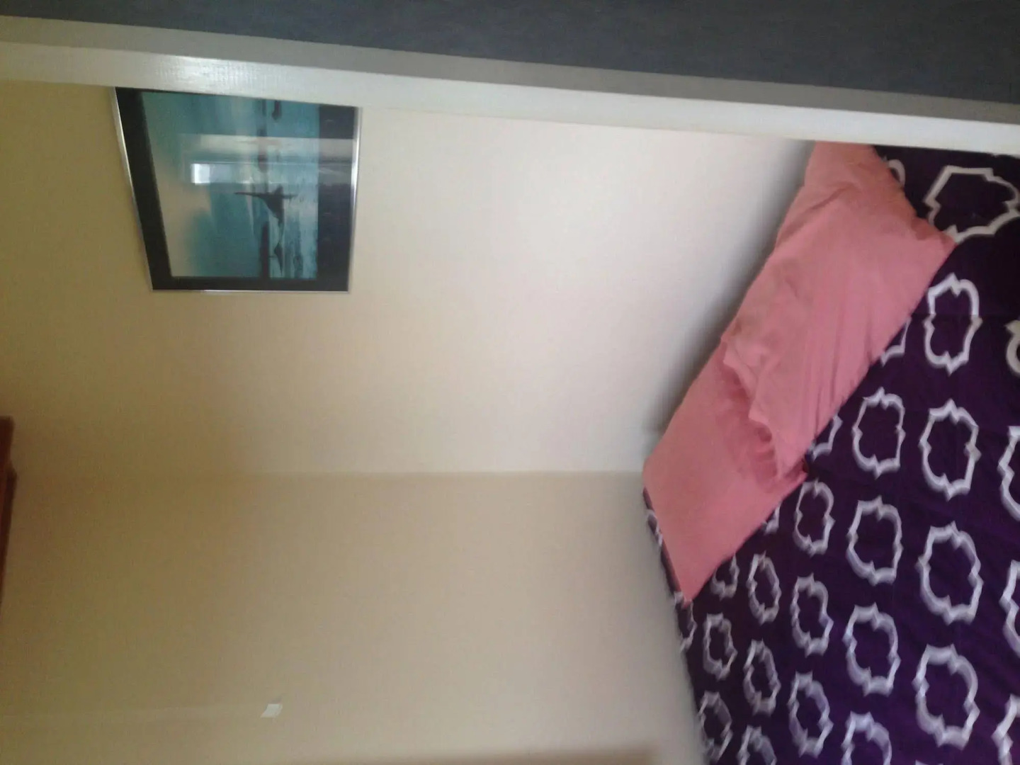 Whitianga Campground