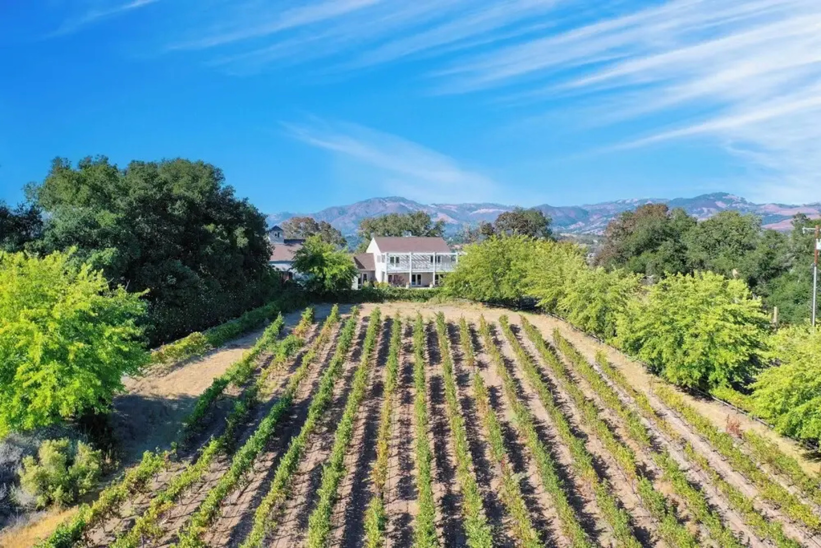 Sonoma Sunshine by Avantstay Countryside Views